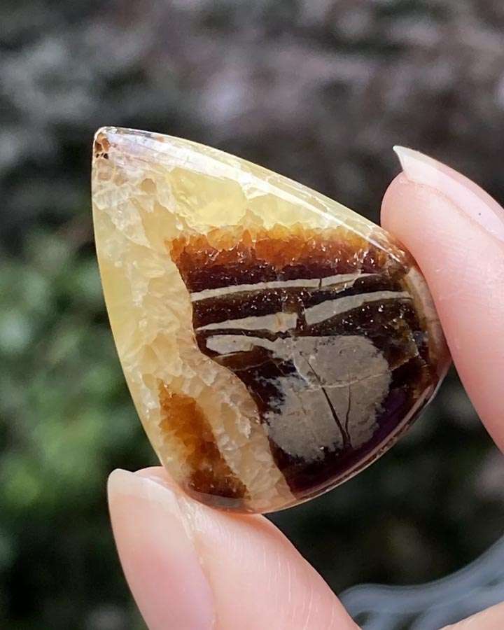 SEPTARIAN